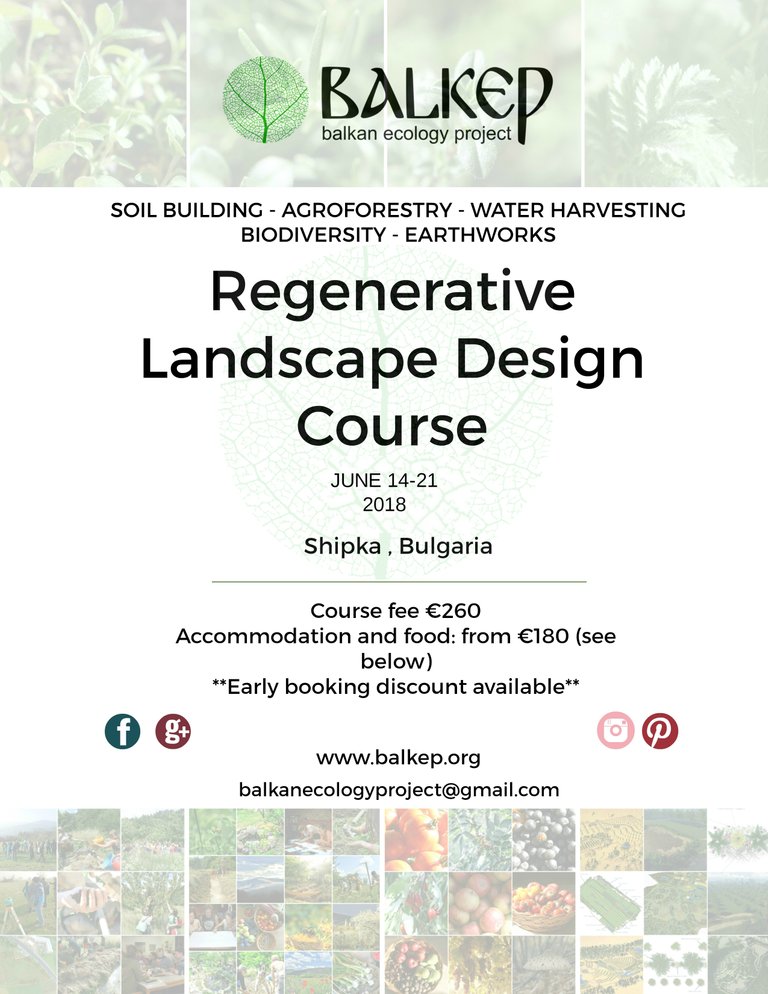 Permaculture_Balkan_Ecology_Project_regenerative_landscape_design_course.jpg