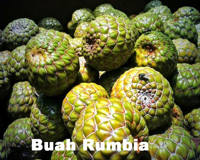 Buah-Rumbia.jpg