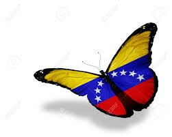 VENEZUELA MARIPOSA.jpeg