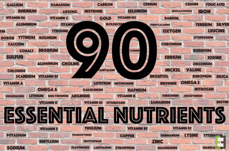 90 essential vitamins-steemit.jpg