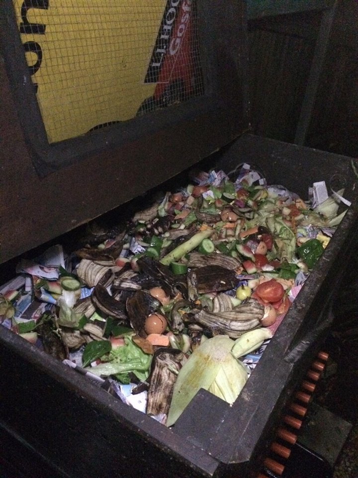 Feeding a CFT worm bin