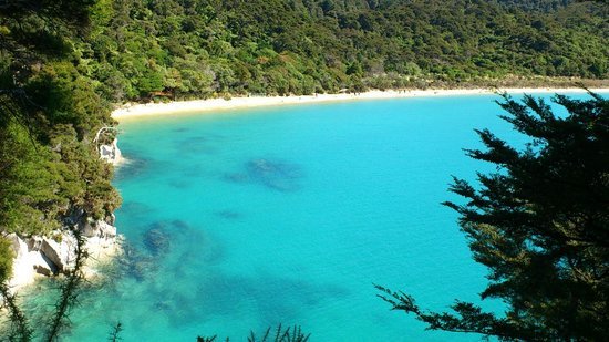 abel-tasman-coast-track.jpg