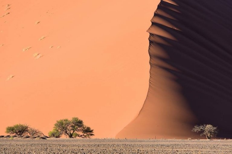 The sea-like dunes of the Namib Desert.jpg