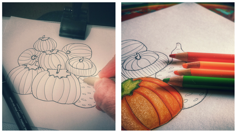 pumpkins drawing.png