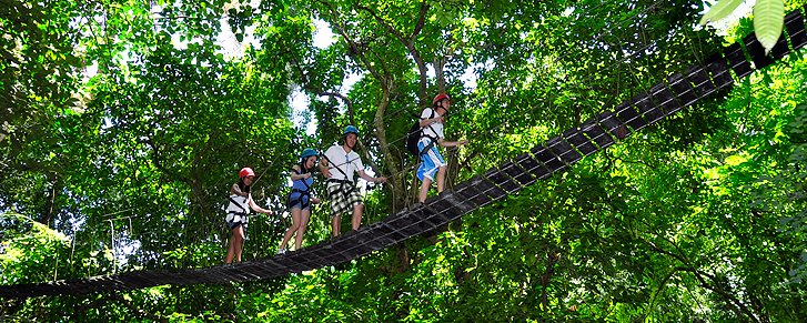 splash_recreational_canopy_01.jpg