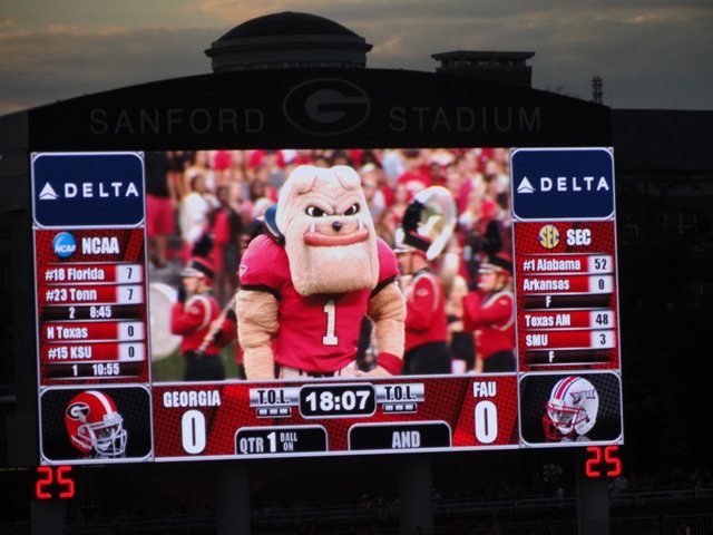 Jumbotron with Harry DAWG.JPG