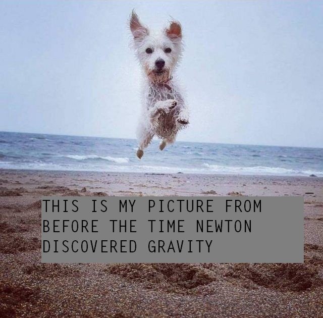 gravity.jpg