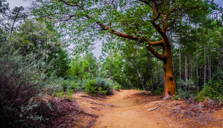 DSC_4624-HDR-Pano.jpg