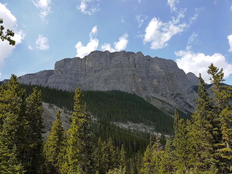 79520F87-F64F-4826-A565-C6FF22952E23.jpeg