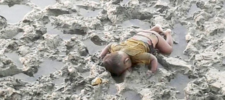 Rohingya-baby-890x395.jpg