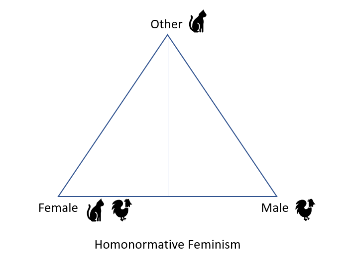 Notes for Feminist Religion_Homonormative Feminism.PNG