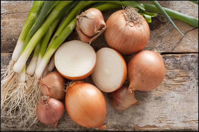 Fun-Facts-of-Onions-2.jpg