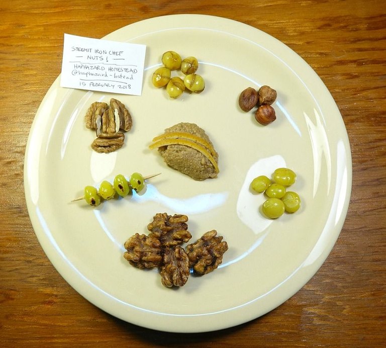 x nut plate 1.jpg