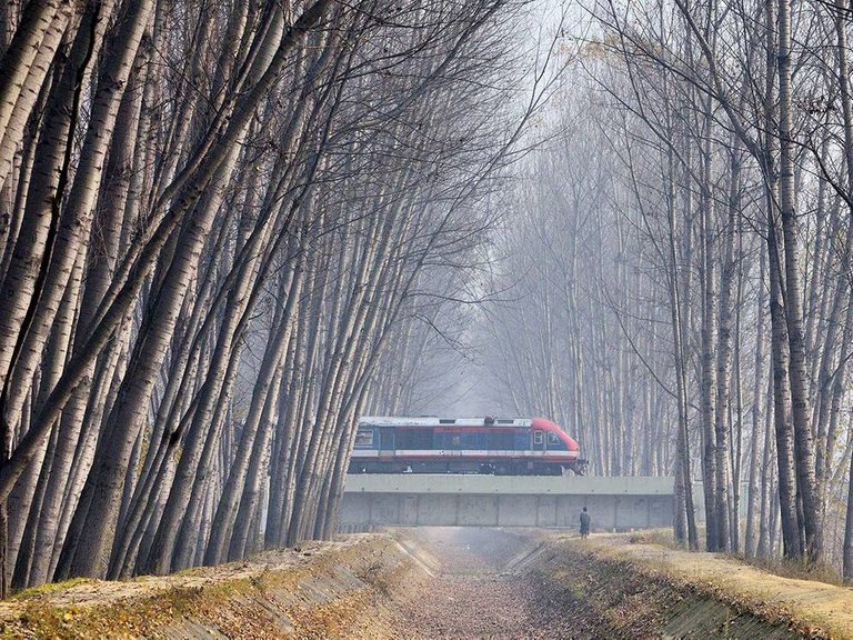 fog-poplar-kashmir-train_86765_990x742.jpg