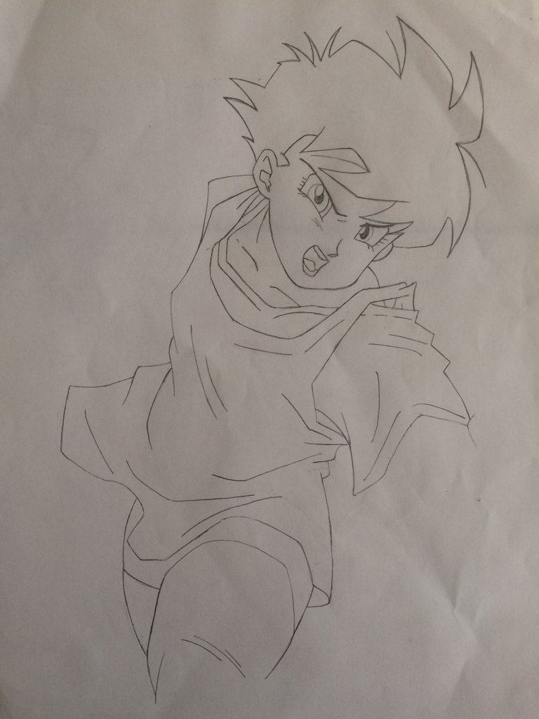 videl 6.JPG