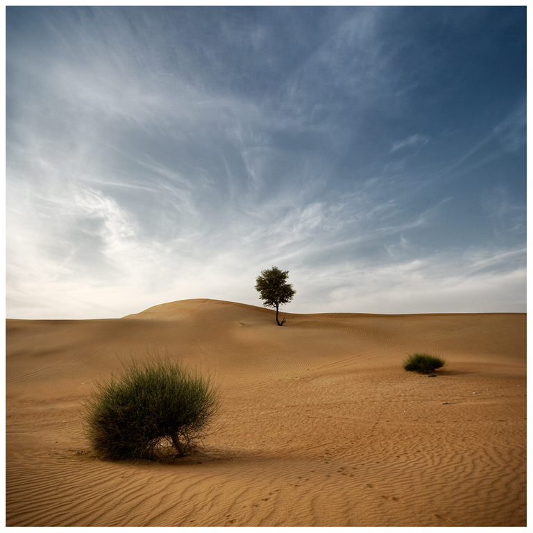 desert poetry