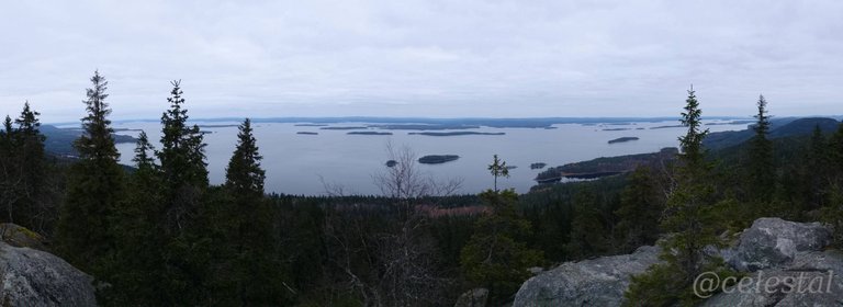 koli.JPG