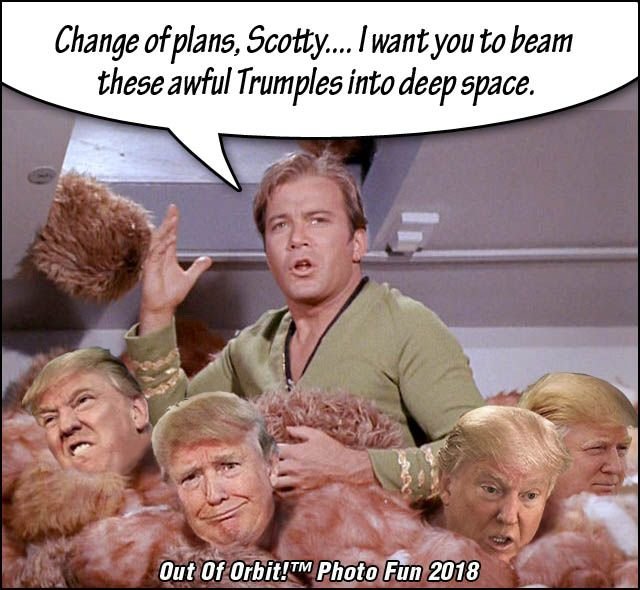 Tribbles and Trump copy.jpg