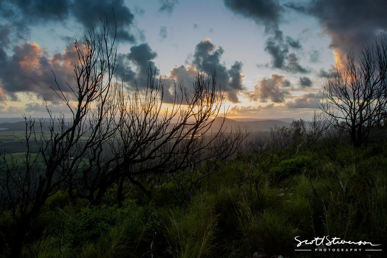 Mount Coolum-1.jpg