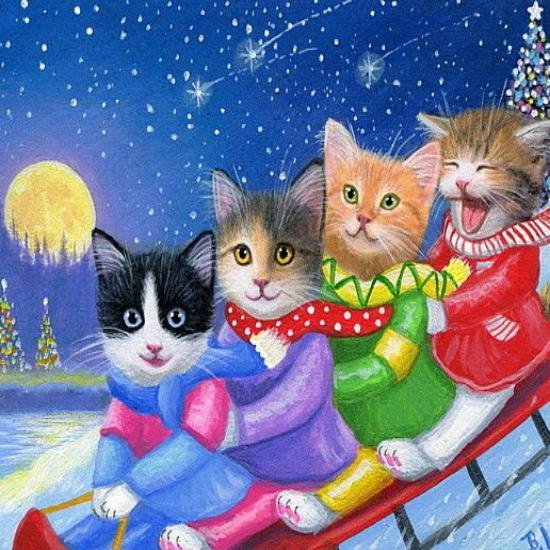 cat cats on sled with full moon111.jpg