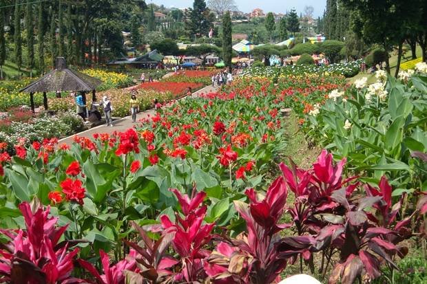 taman_bunga_cihideung_bandung.jpg