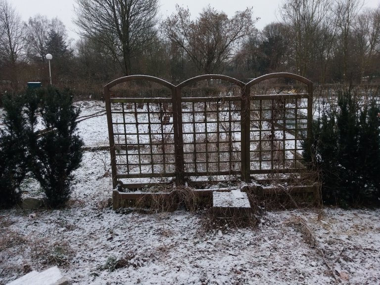 20180227_Garten_Winterimpressionen05.jpg