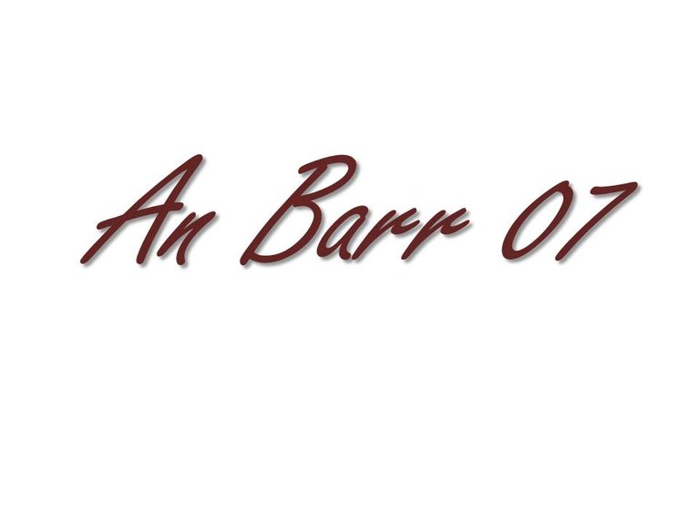 An Barr 07.jpg