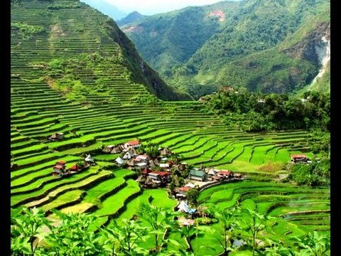 Rice Terraces.jpg