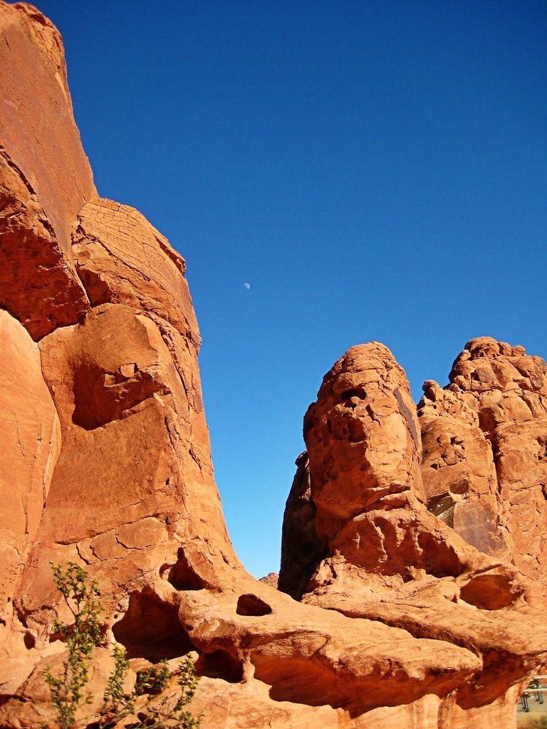 2010-01-24-062--Valley of Fire State Park_20170909154042457.jpg