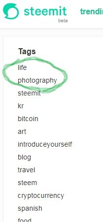 Steemit Tags Screenshot - Paint edited.jpg