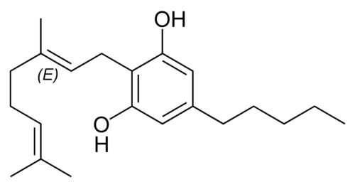 top-10-cannabinoids-and-what-they-do-cbga.jpg