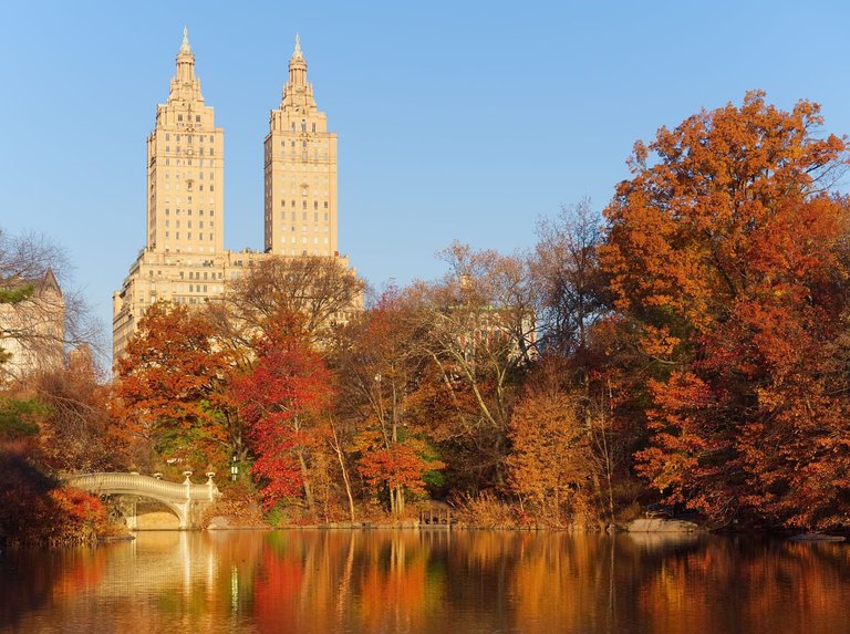 PB270168-bow-bridge-central-park-autumn-nyc.jpg