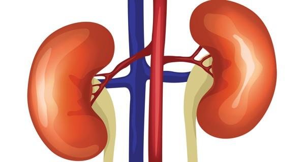 kidney-disease.jpg