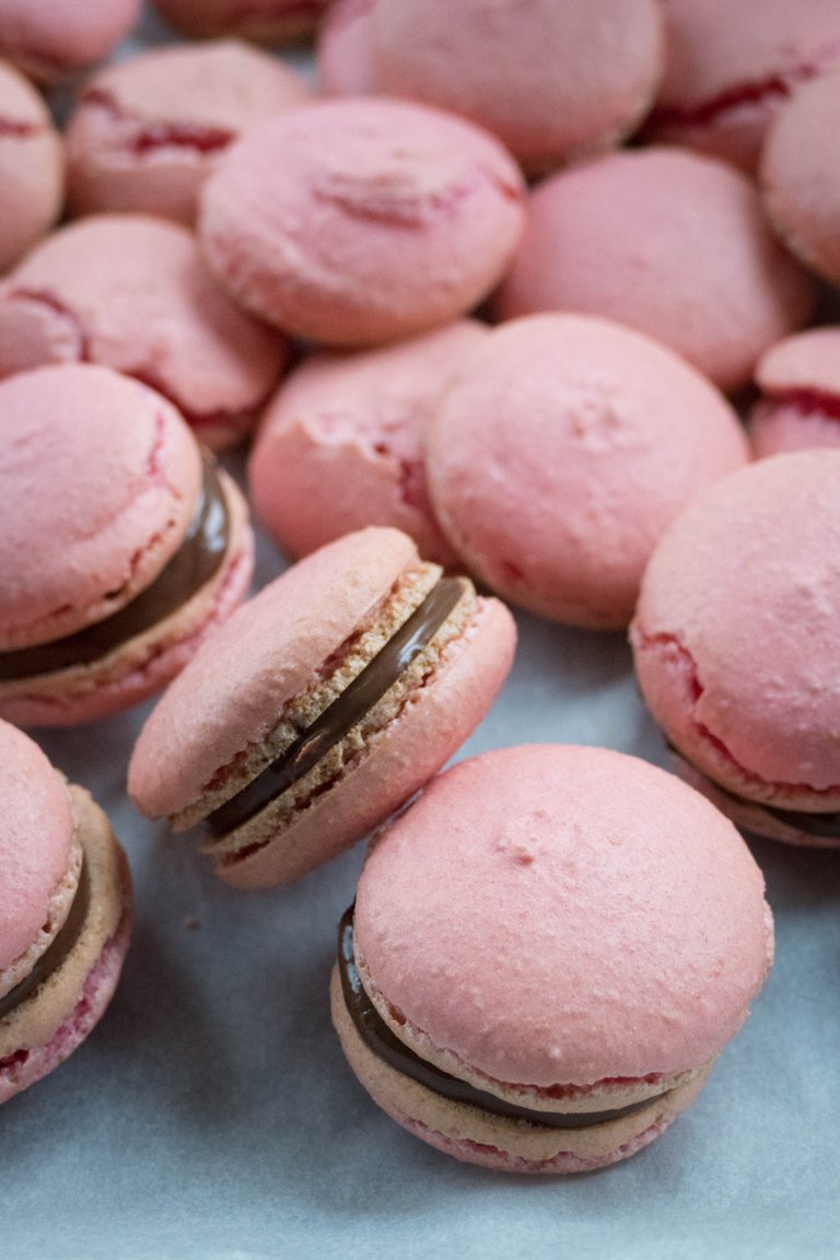 macarons 1.jpg