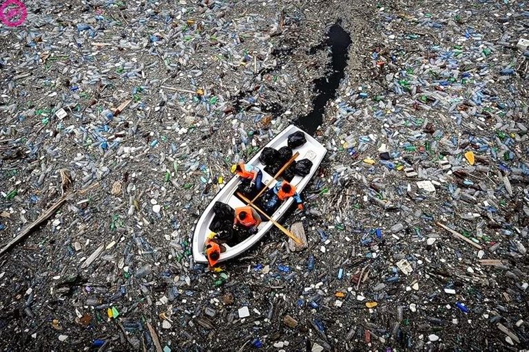 toneladas-de-plastico-en-el-oceano-pacífico.jpg