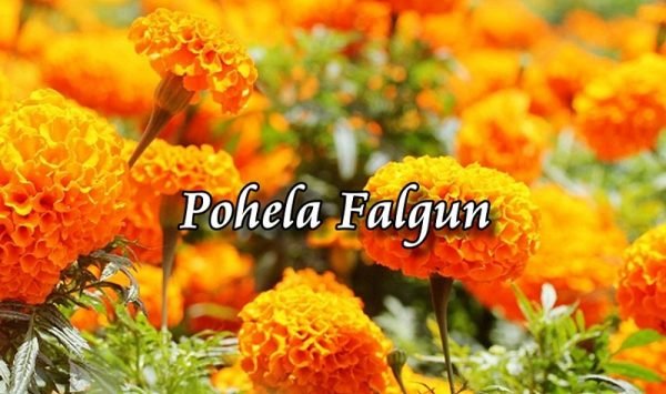 Pohela-Falgun-600x355.jpg