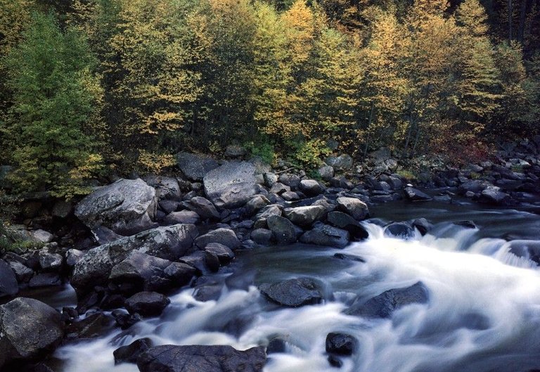 jlm-idaho-salmon-river1.jpg