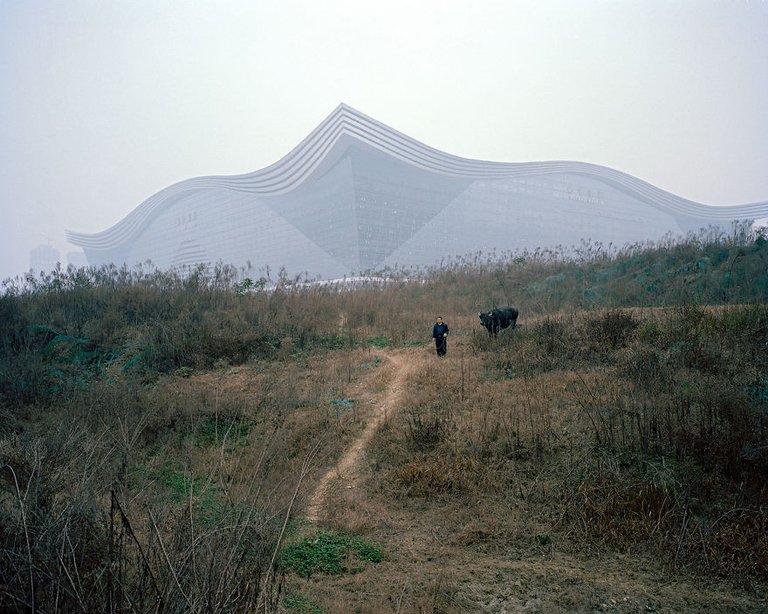 Hitachi-Seaside-Park.jpg