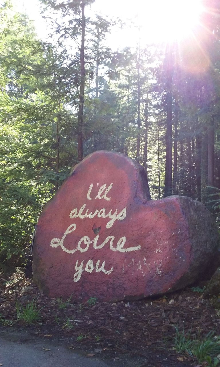 Love Rock Redwoods.jpg