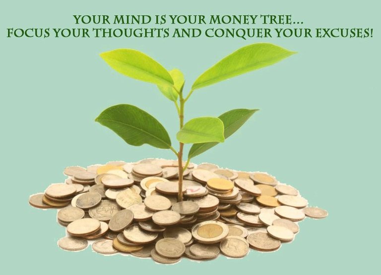 Money tree edit.jpg