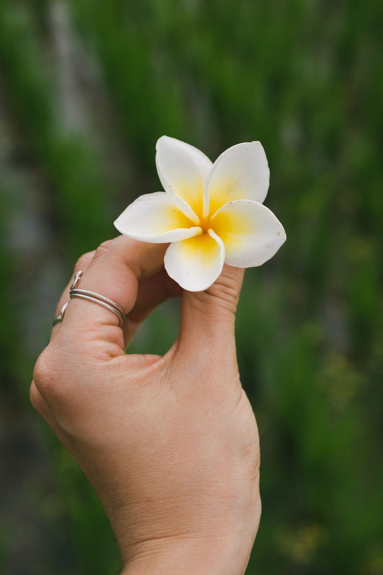 UBUD (10 of 15).jpg