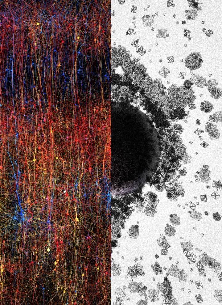 multidimensional-brain-topology-1.jpg