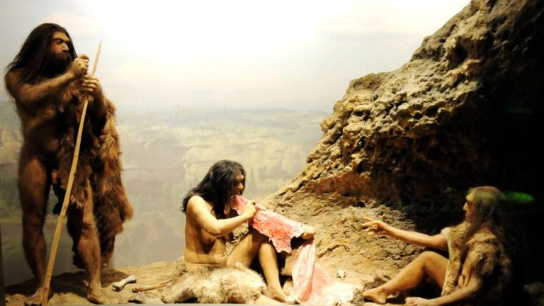 VinceSmith_Flickr_EarlyHumansDiorama-800x450.jpg