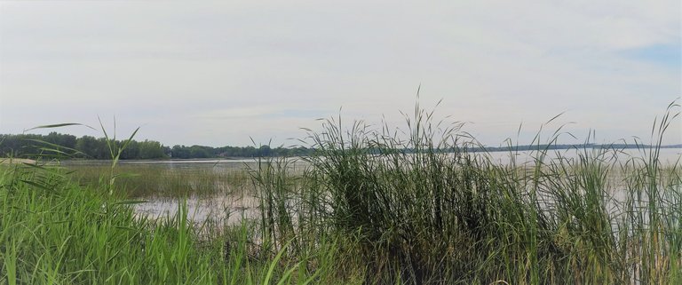 20170810_172503_Pano.jpg