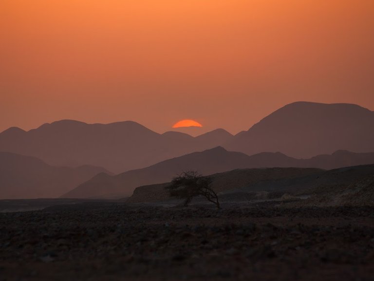 desert-sunset.jpg