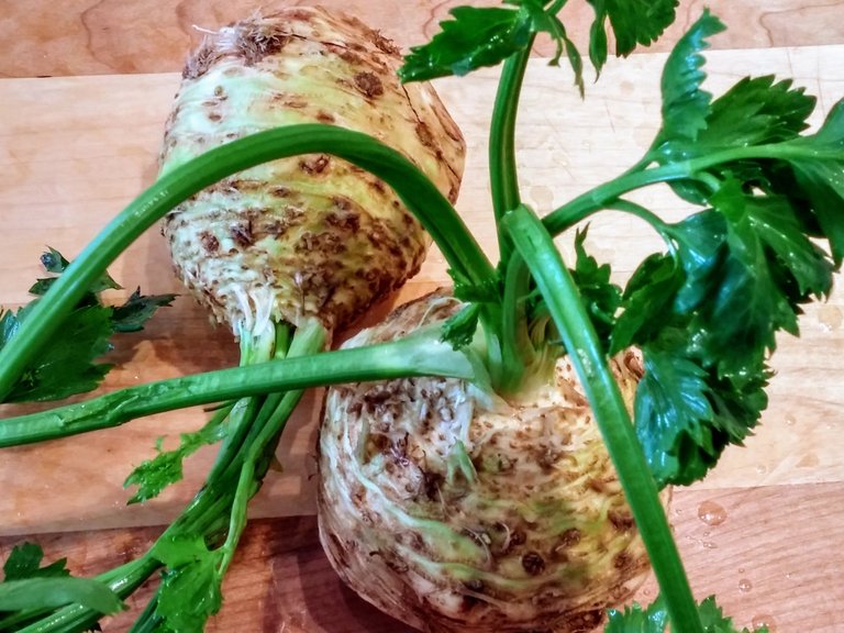 Celeriac.jpg