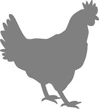 rooster-311959_960_720.png