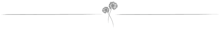 simple flower divider.png