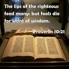 proverbs fools die.jpg