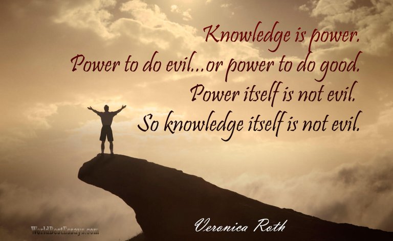 Veronica-Roth-Quote-about-Knowledge.jpg